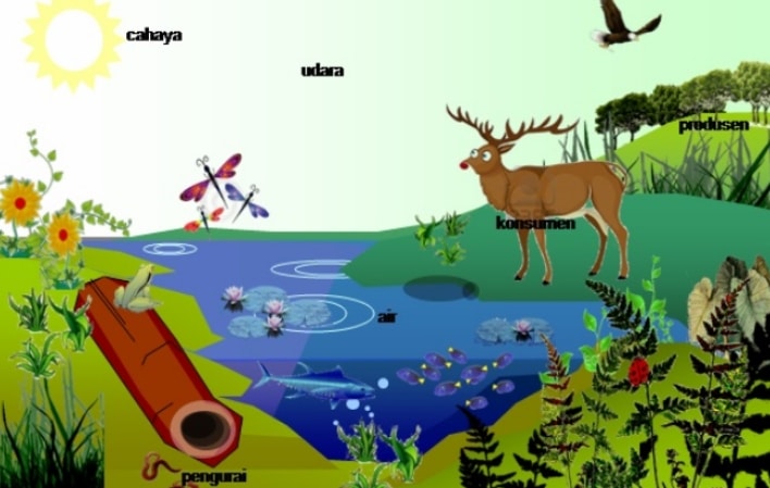 Konsep Ekosistem: Komponen Biotik dan Abiotik