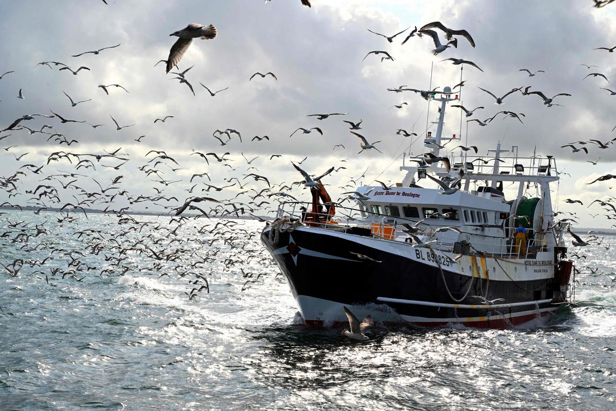 Kesepakatan Perikanan: Eropa dan Inggris Sepakat Hingga 2026